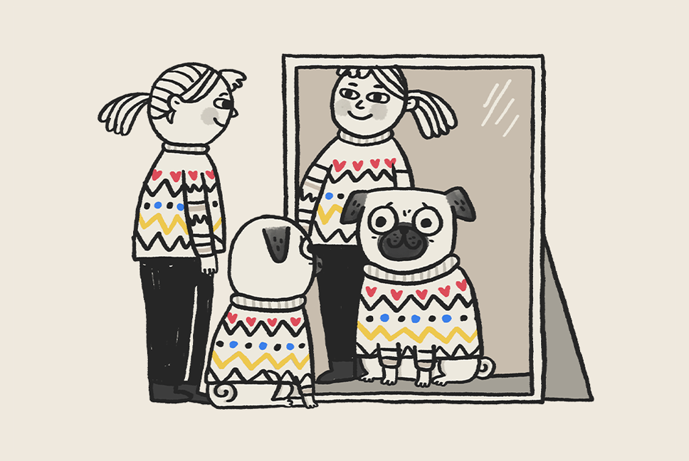 Clothes for Pugs