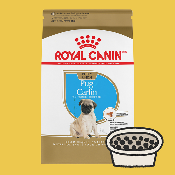 Pug Puppy Food Moopers