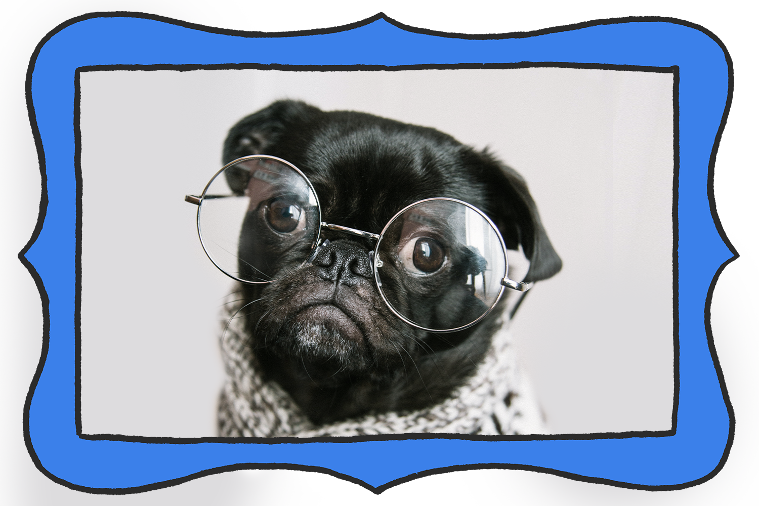 Pug keeps hot sale licking nose