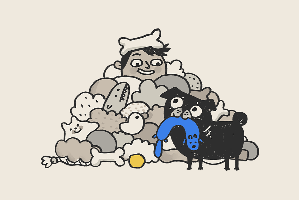 Toys for Pugs