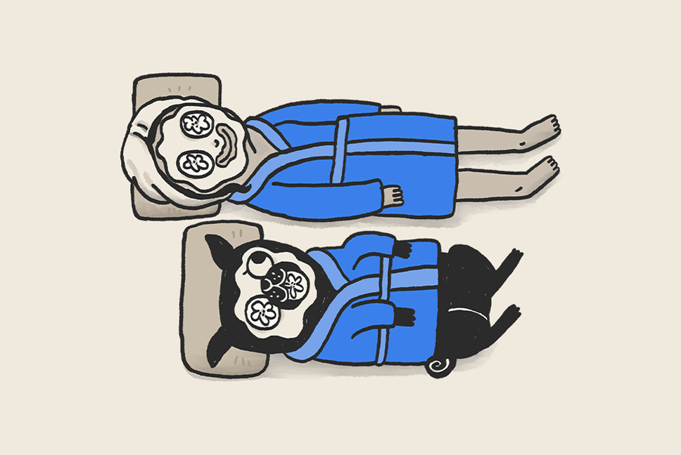 Care for Pugs