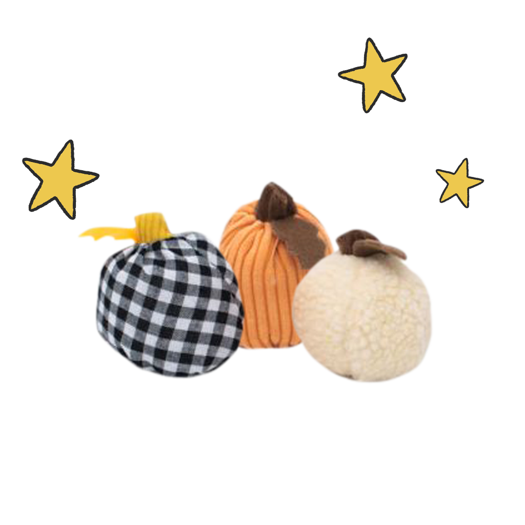 Squeaky Autumn Gourds
