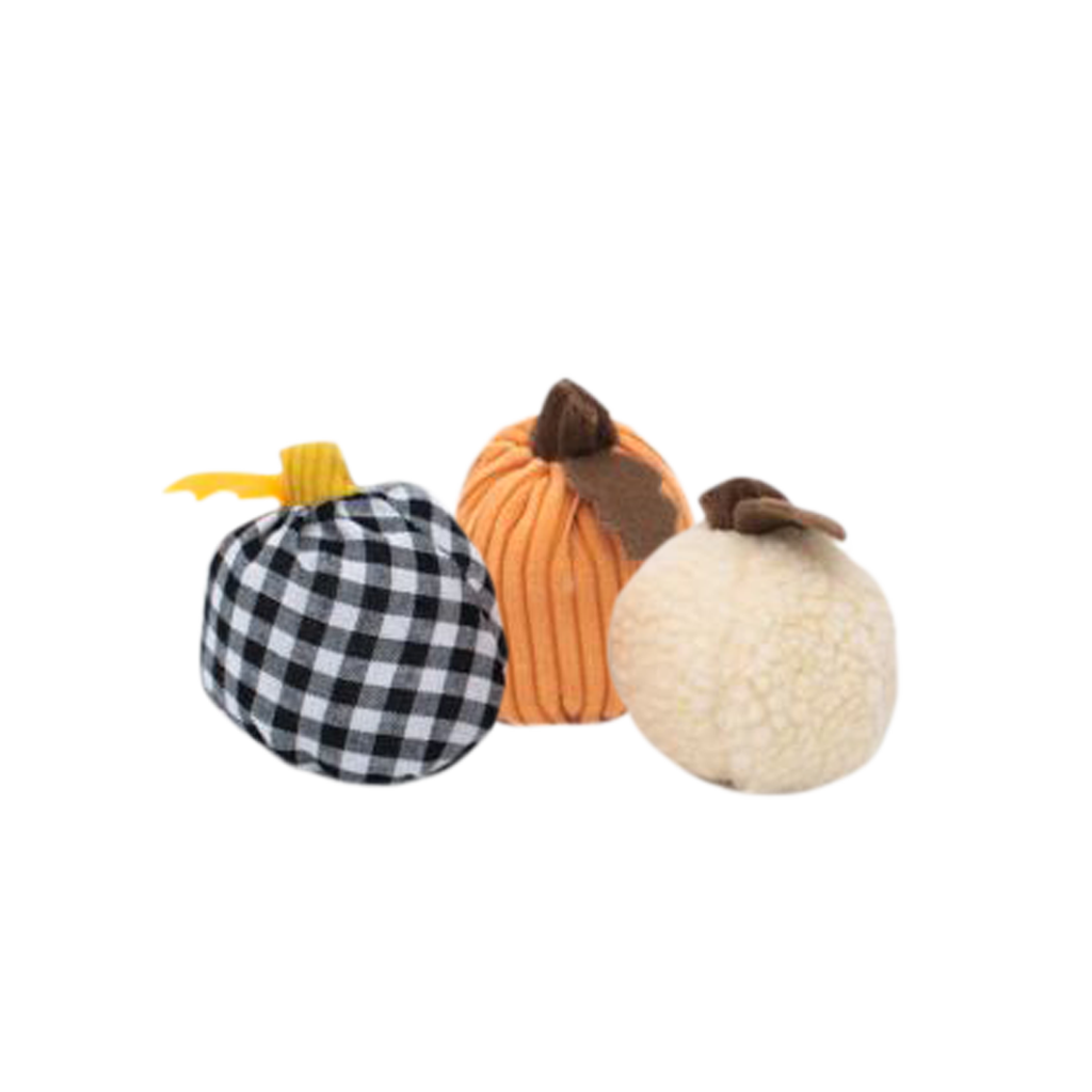 Squeaky Autumn Gourds