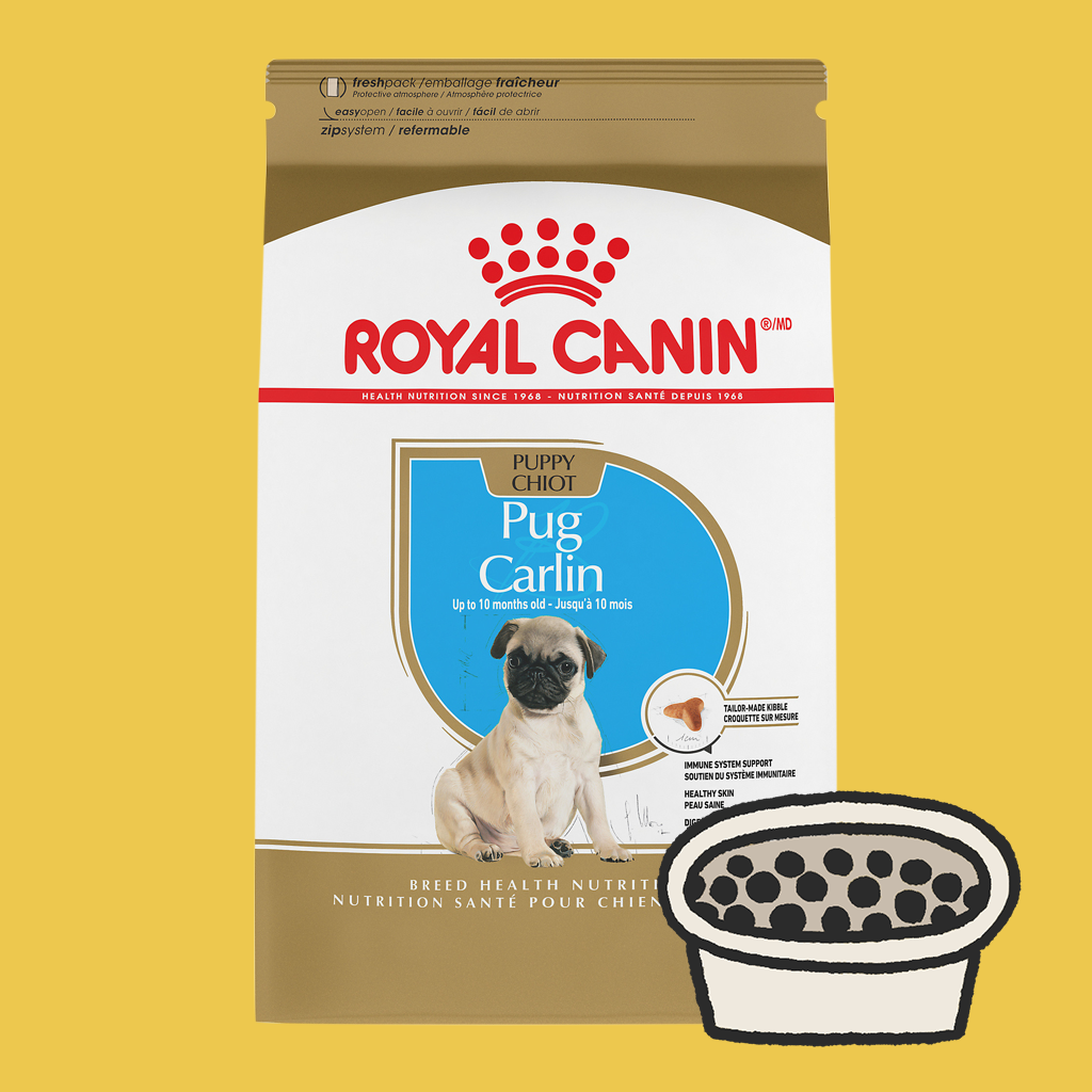 Pug Puppy Food