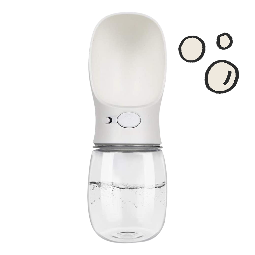 Travel Water Bottle