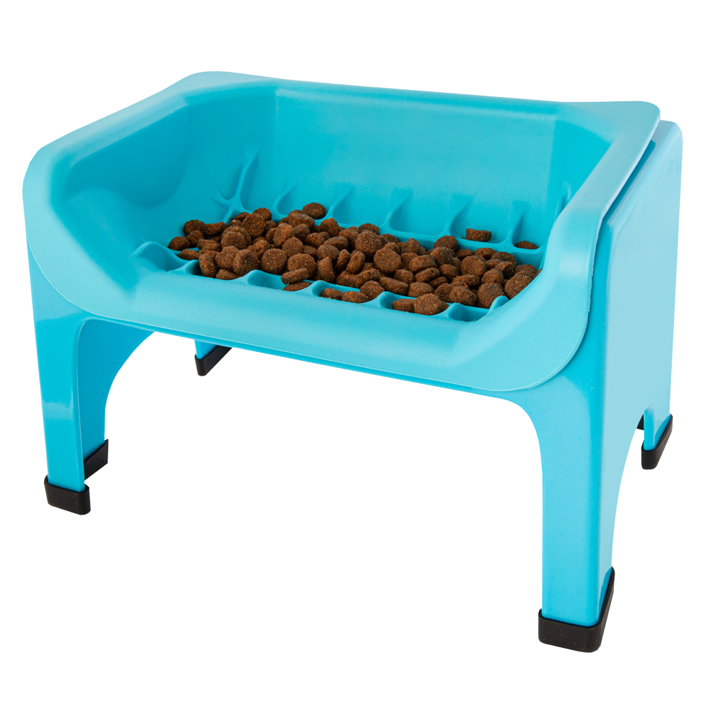 Cat trough shop feeder