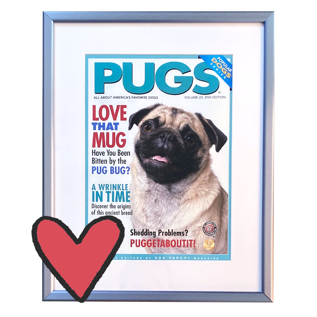 Pugs Magazine Cover, c. 2007